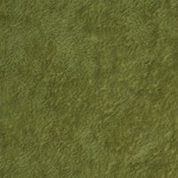 Pistacho