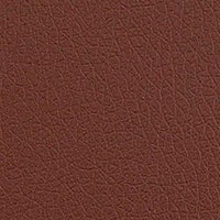 Bright Brown