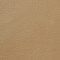 Gold Beige
