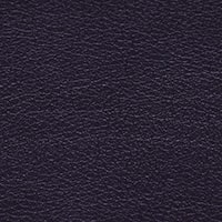 12 Dark Orchid