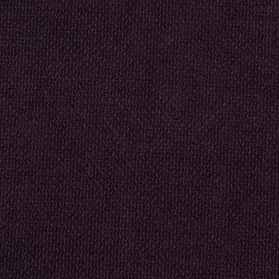 Violet 75