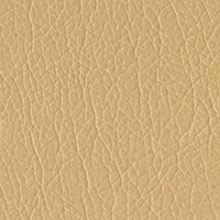 Dark Beige