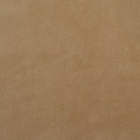 12 Oasis Nude
