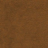 Cinnamon