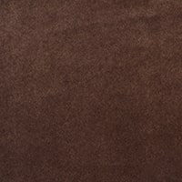 15 Cocolate Shine