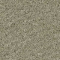 Sesame