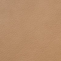 Gold Beige