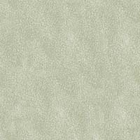 Light Taupe