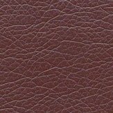 Zeus bright brown