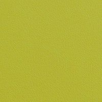 Экокожа Z. Deluxe lime