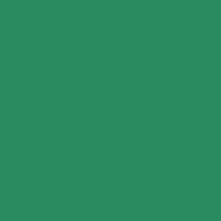 RAL 6024 +30%